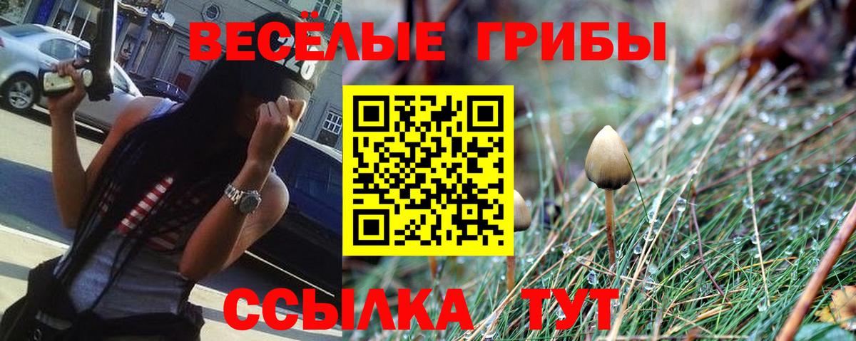 Галлюциногенные грибы мицелий  Вход с VPN  Псилоцибиновые грибы прущие грибы  Междуреченск 