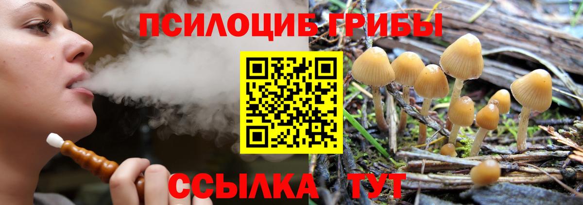 Галлюциногенные грибы Magic Shrooms Междуреченск